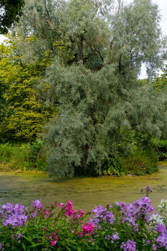 Kumna mõis  2026-08-08 1-9