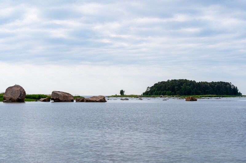 Kuradisaar  2026-06-20 1-2