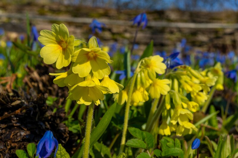 luganuse-kalmistu 1-40