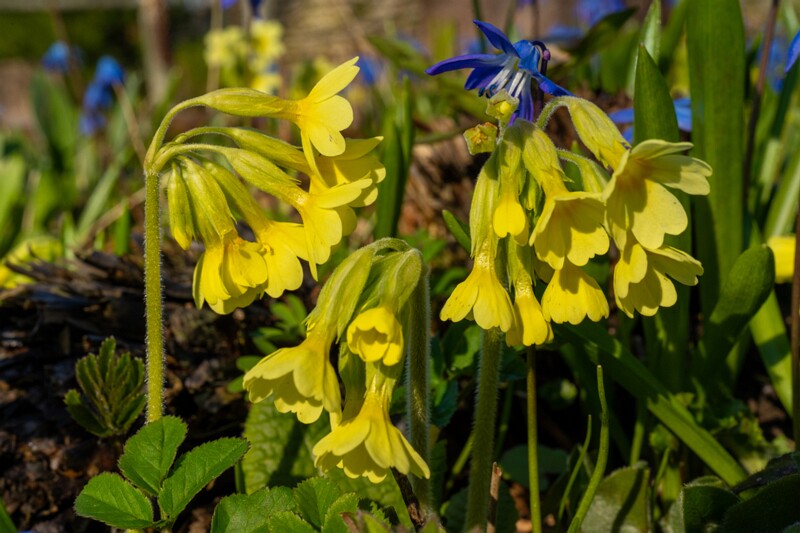 luganuse-kalmistu 1-41