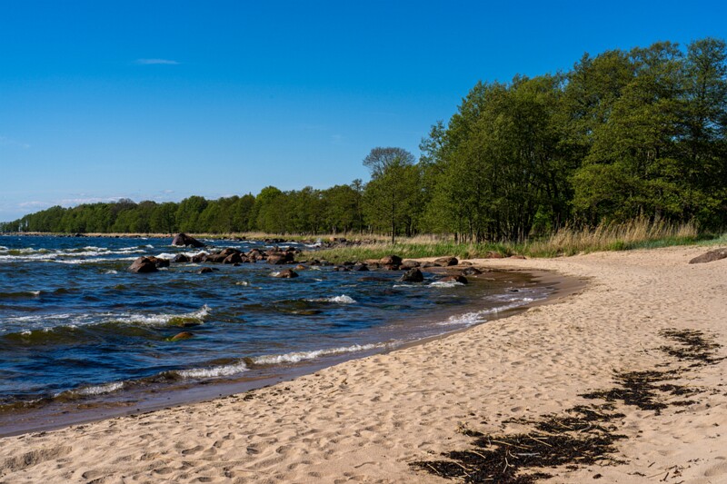 Leesi pank  2026-05-23 1-1