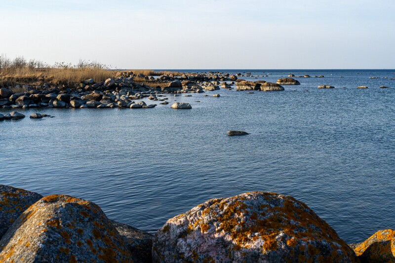 Leppneeme sadam  2026-03-14 1-12