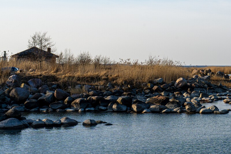 Leppneeme sadam  2026-03-14 1-19