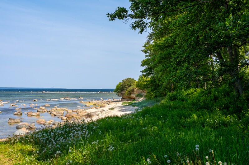 lohusalu-rand 2023-06-17 1-1