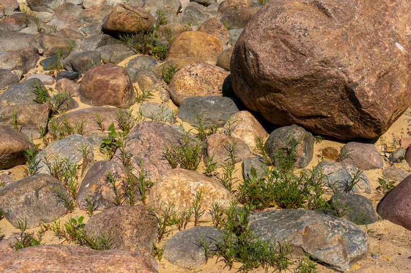 lohusalu-rand 2023-06-17 1-11