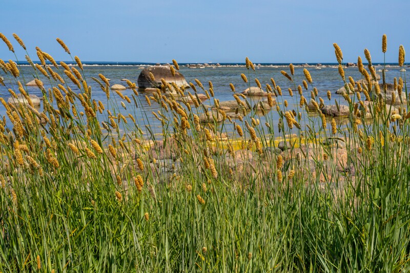 lohusalu-rand 2023-06-17 1-15