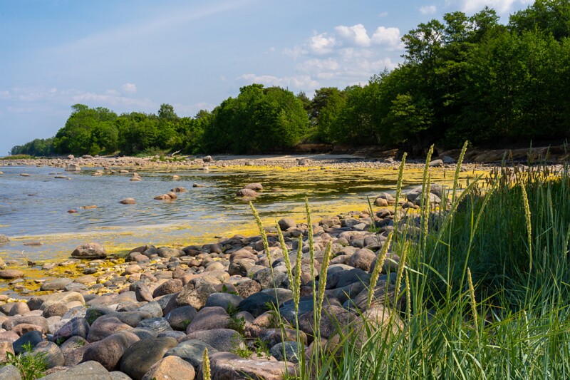 lohusalu-rand 2023-06-17 1-16