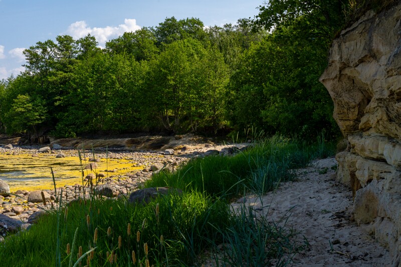 lohusalu-rand 2023-06-17 1-18