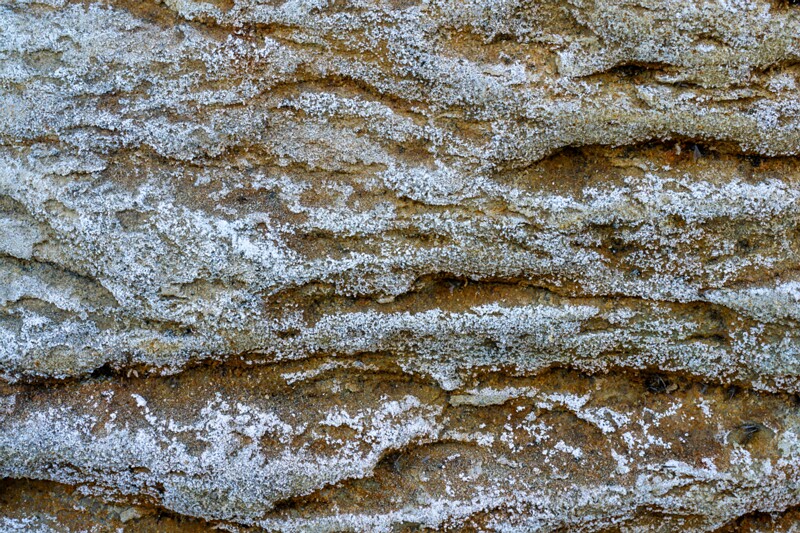 lohusalu-rand 2023-06-17 1-21