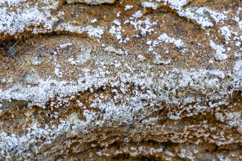 lohusalu-rand 2023-06-17 1-23