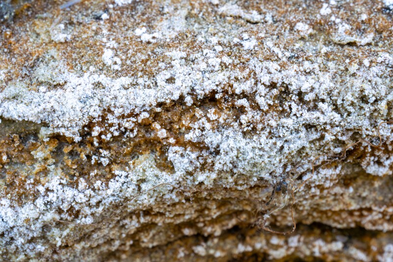 lohusalu-rand 2023-06-17 1-24