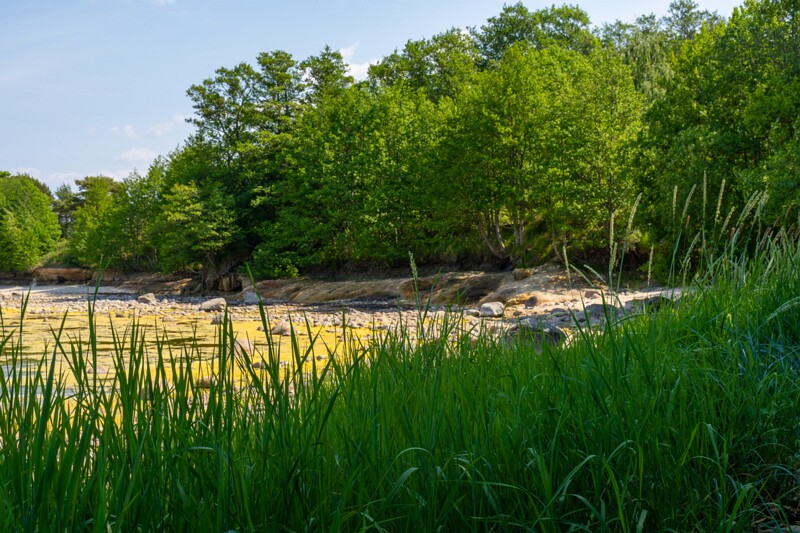 lohusalu-rand 2023-06-17 1-25