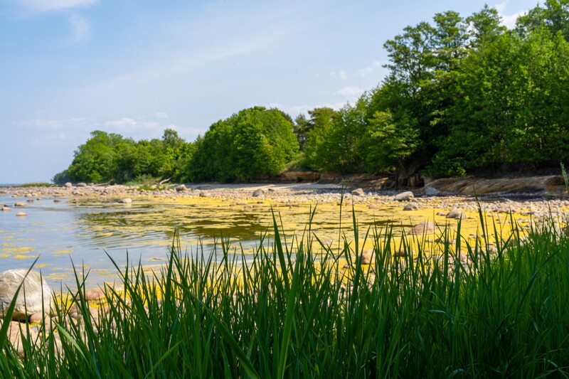 lohusalu-rand 2023-06-17 1-26