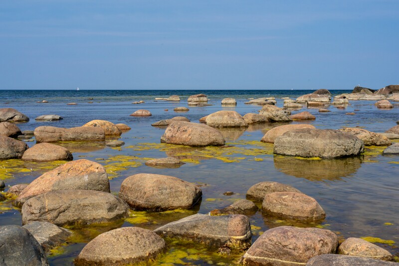 lohusalu-rand 2023-06-17 1-6