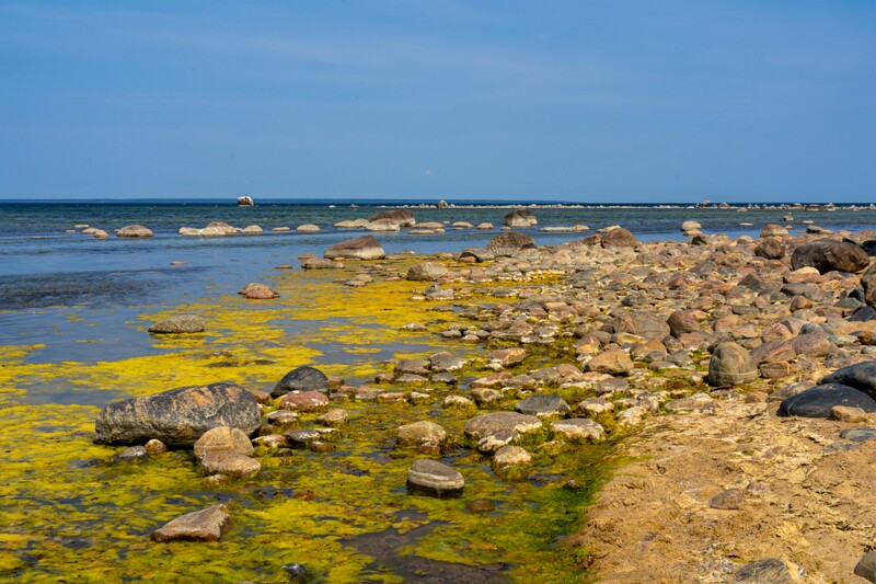 lohusalu-rand 2023-06-17 1-8