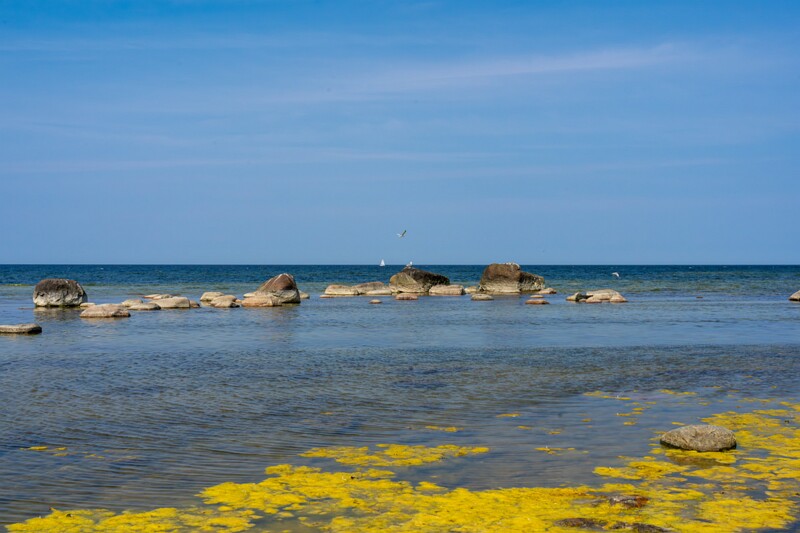 lohusalu-rand 2023-06-17 1-9