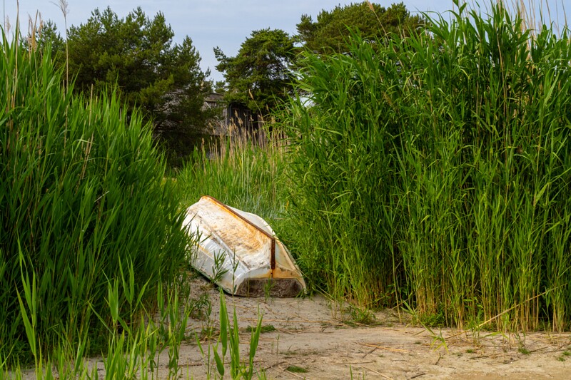 lohusalu-sadam 2023-06-17 1-4