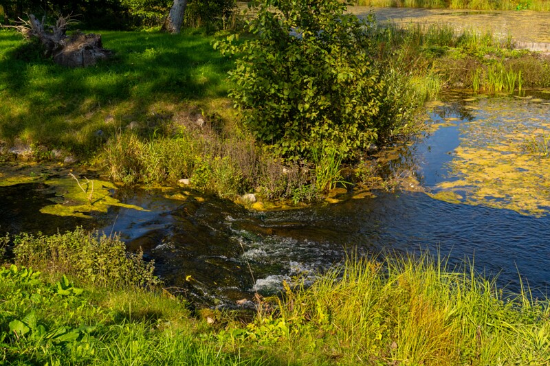 lustivere-mõis 1-10