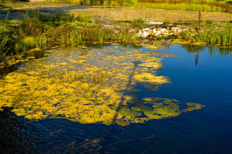lustivere-mõis 1-11