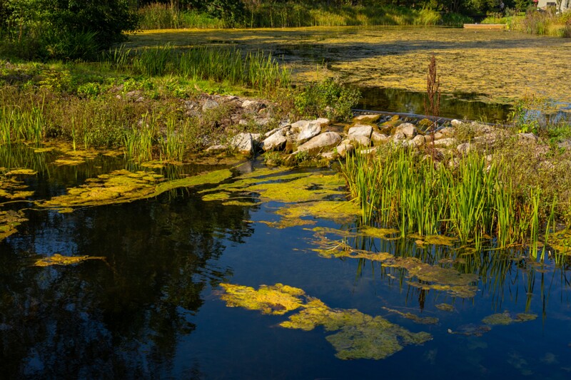 lustivere-mõis 1-16