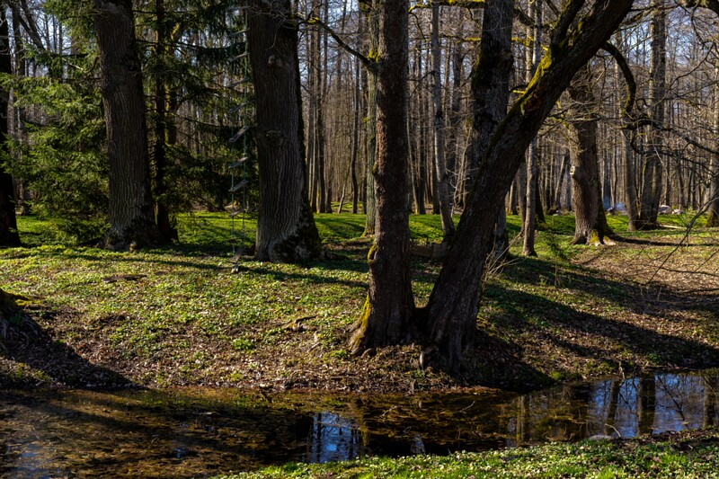 maardu-myyis 2025-04-13 1-32