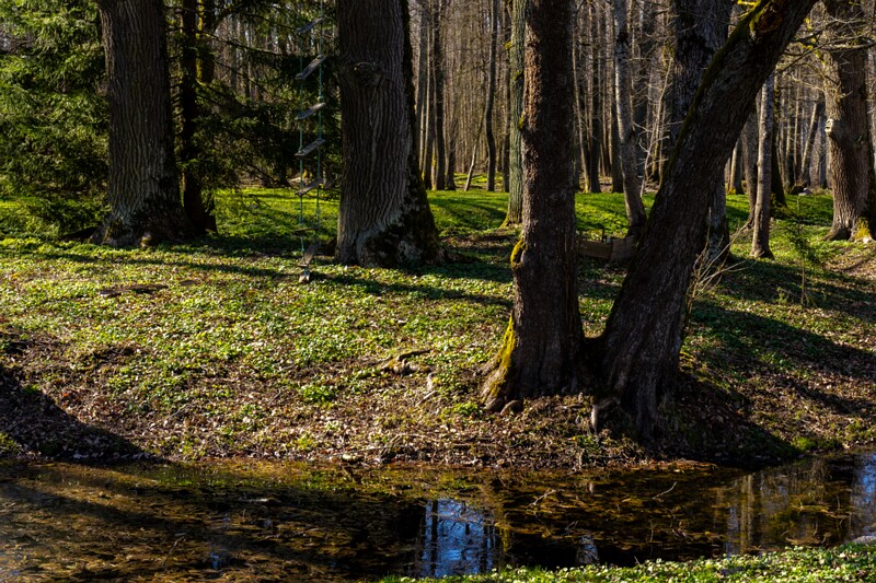 maardu-myyis 2025-04-13 1-33