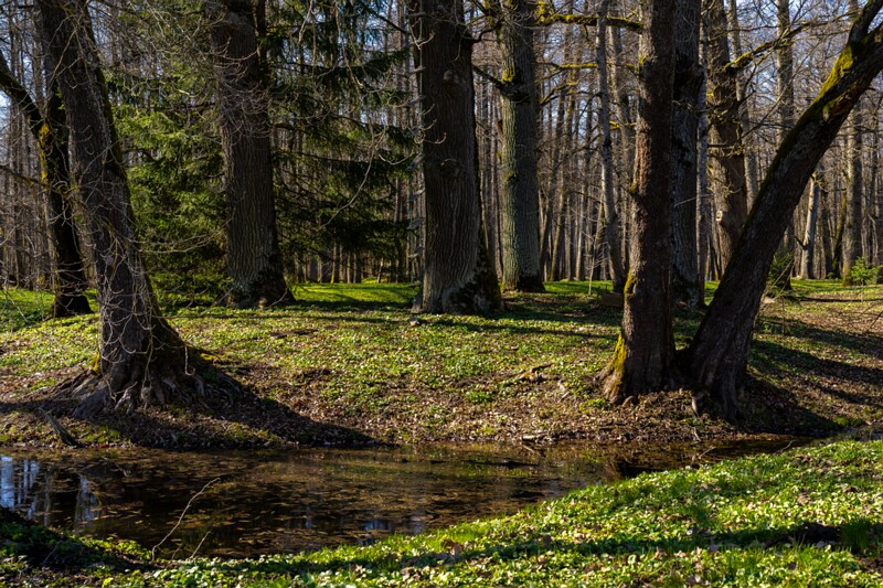 maardu-myyis 2025-04-13 1-34