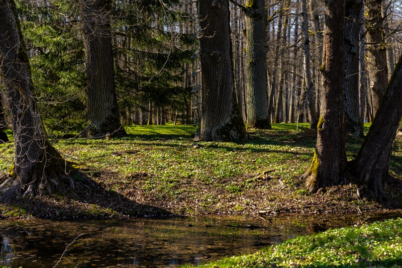 maardu-myyis 2025-04-13 1-35