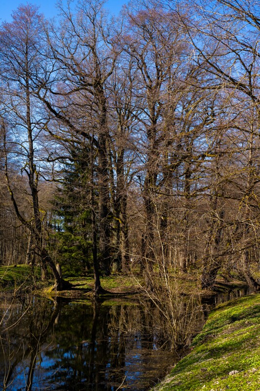 maardu-myyis 2025-04-13 1-36