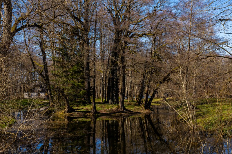 maardu-myyis 2025-04-13 1-39