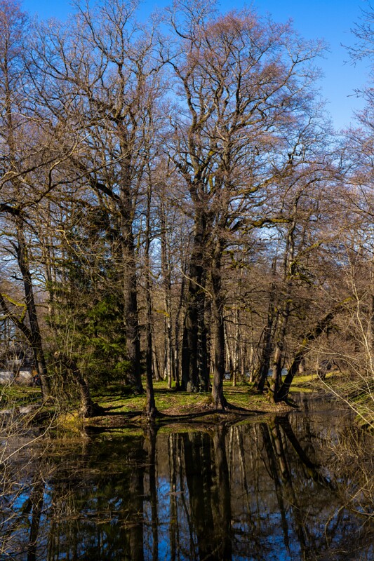 maardu-myyis 2025-04-13 1-40