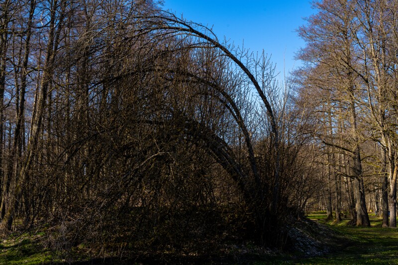 maardu-myyis 2025-04-13 1-45