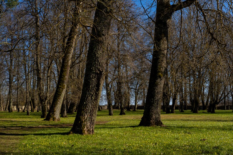 maardu-myyis 2025-04-13 1-48