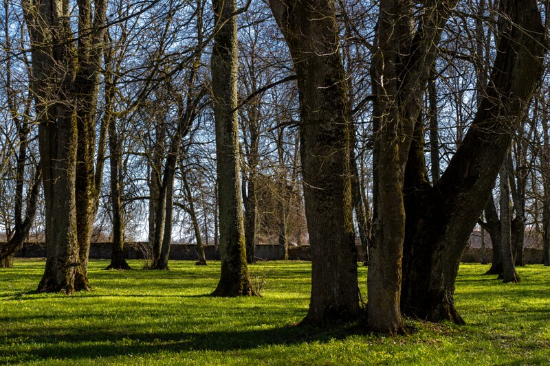 maardu-myyis 2025-04-13 1-55