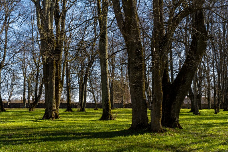 maardu-myyis 2025-04-13 1-56