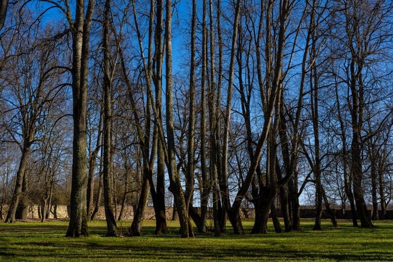 maardu-myyis 2025-04-13 1-57