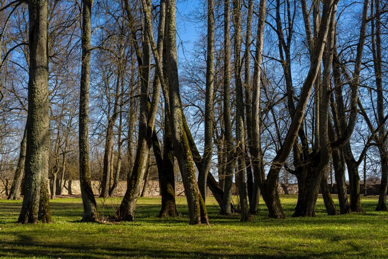 maardu-myyis 2025-04-13 1-58