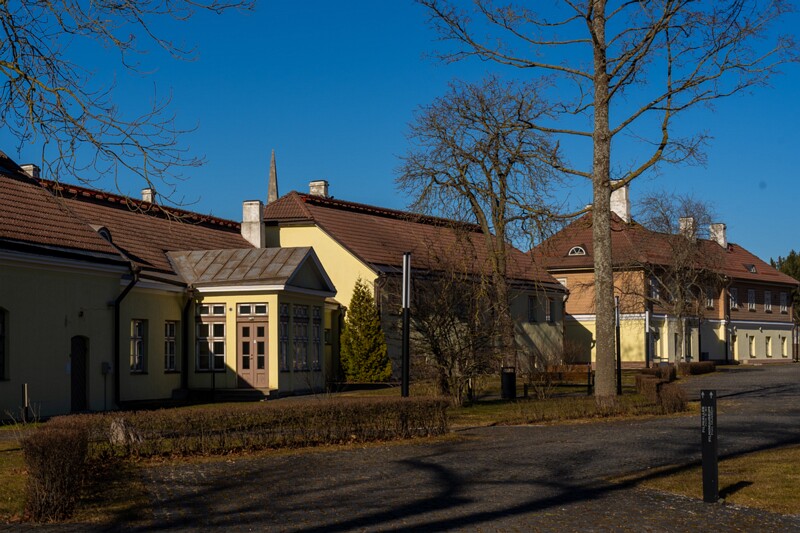 maarjamyae-suvemyisa-loss 1-31