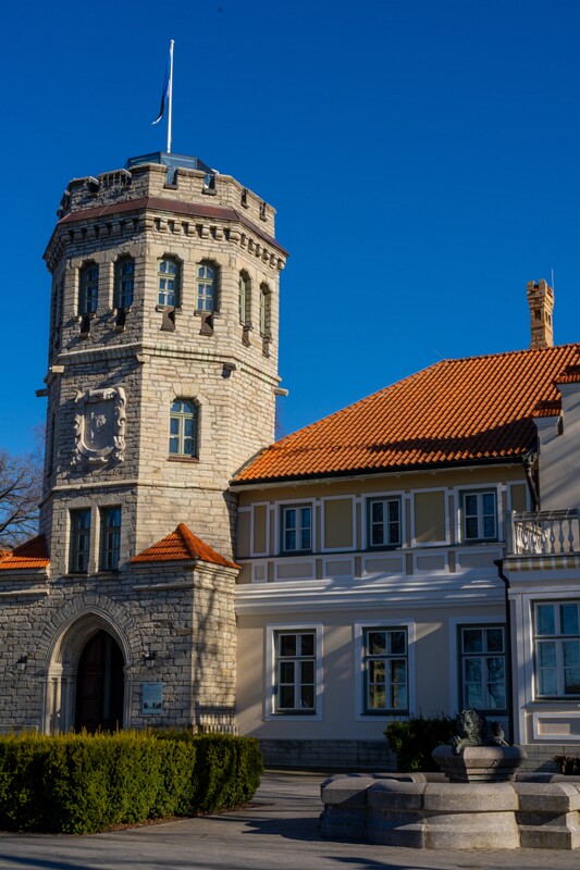 maarjamyae-suvemyisa-loss 1-41