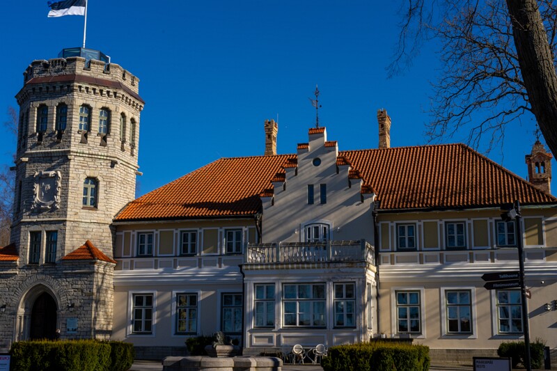 maarjamyae-suvemyisa-loss 1-43