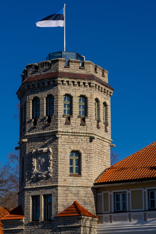 maarjamyae-suvemyisa-loss 1-45