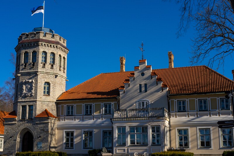 maarjamyae-suvemyisa-loss 1-52