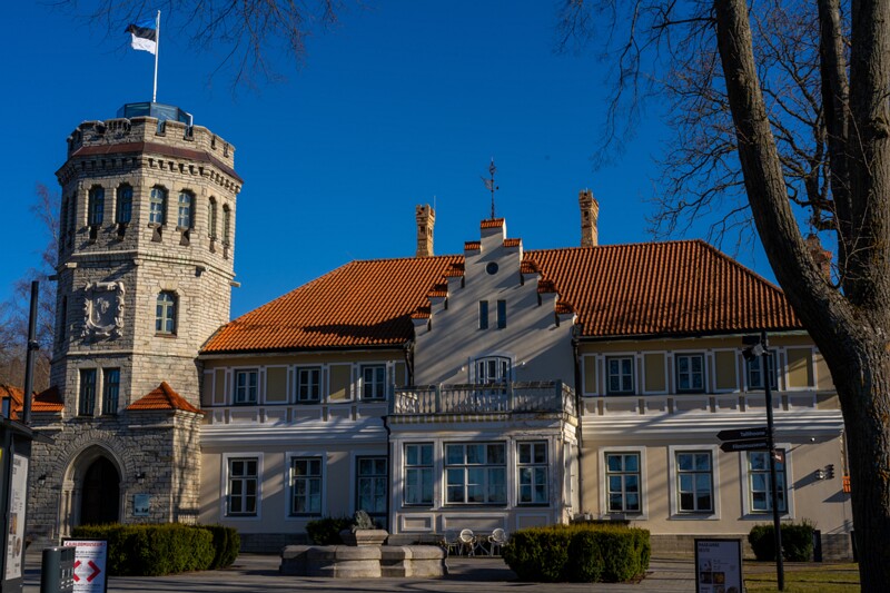 maarjamyae-suvemyisa-loss 1-57