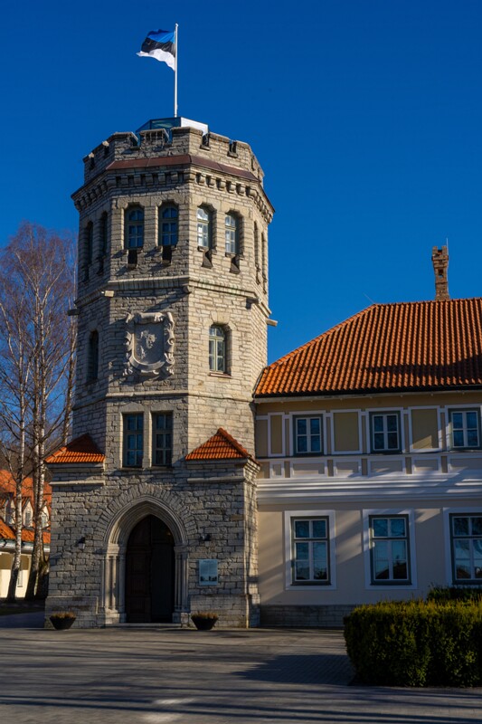 maarjamyae-suvemyisa-loss 1-58