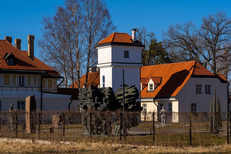 maarjamyae-suvemyisa-loss 1-6