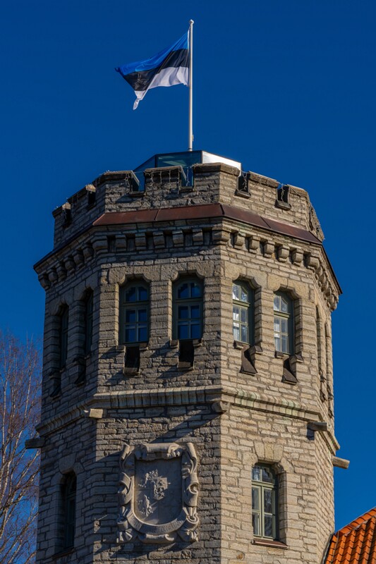 maarjamyae-suvemyisa-loss 1-60