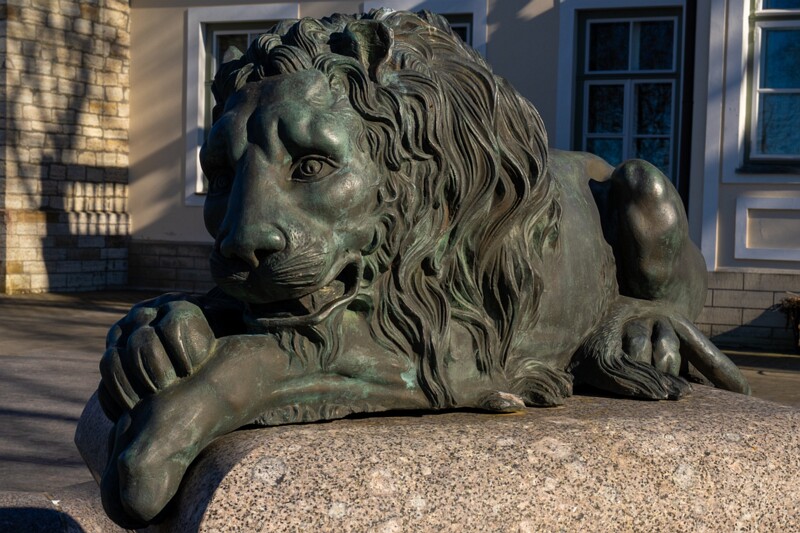 maarjamyae-suvemyisa-loss 1-76