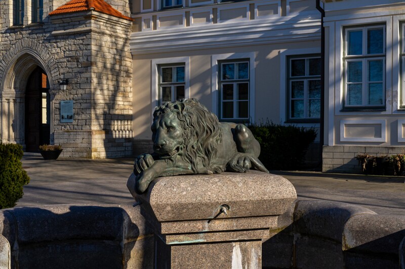 maarjamyae-suvemyisa-loss 1-78