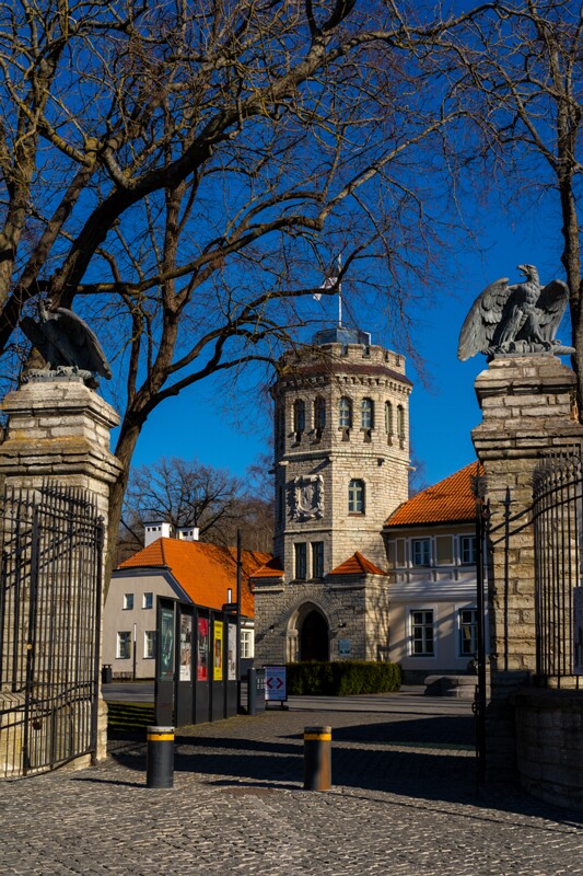 maarjamyae-suvemyisa-loss 1-87