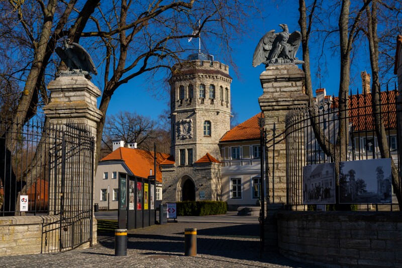 maarjamyae-suvemyisa-loss 1-89